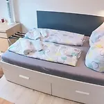 Birds nest